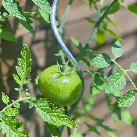 Daire Le Bel Ouvillais - Proche & Chemins Rando