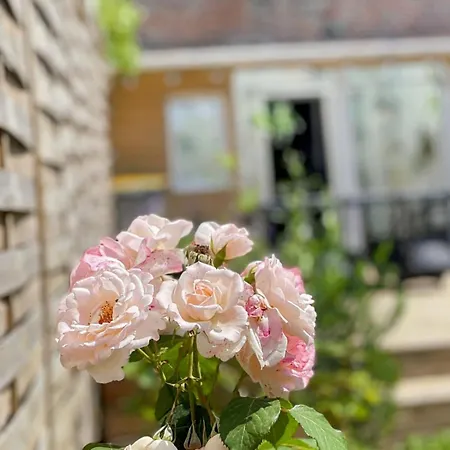 Le Bel Ouvillais - Proche & Chemins Rando Daire